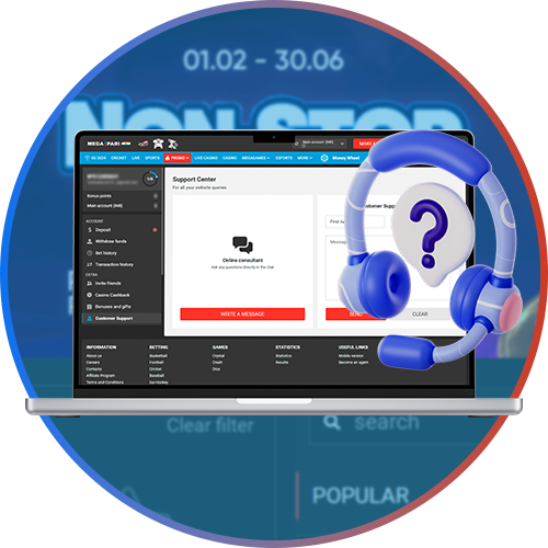 Support and consulting for Megapari clients.