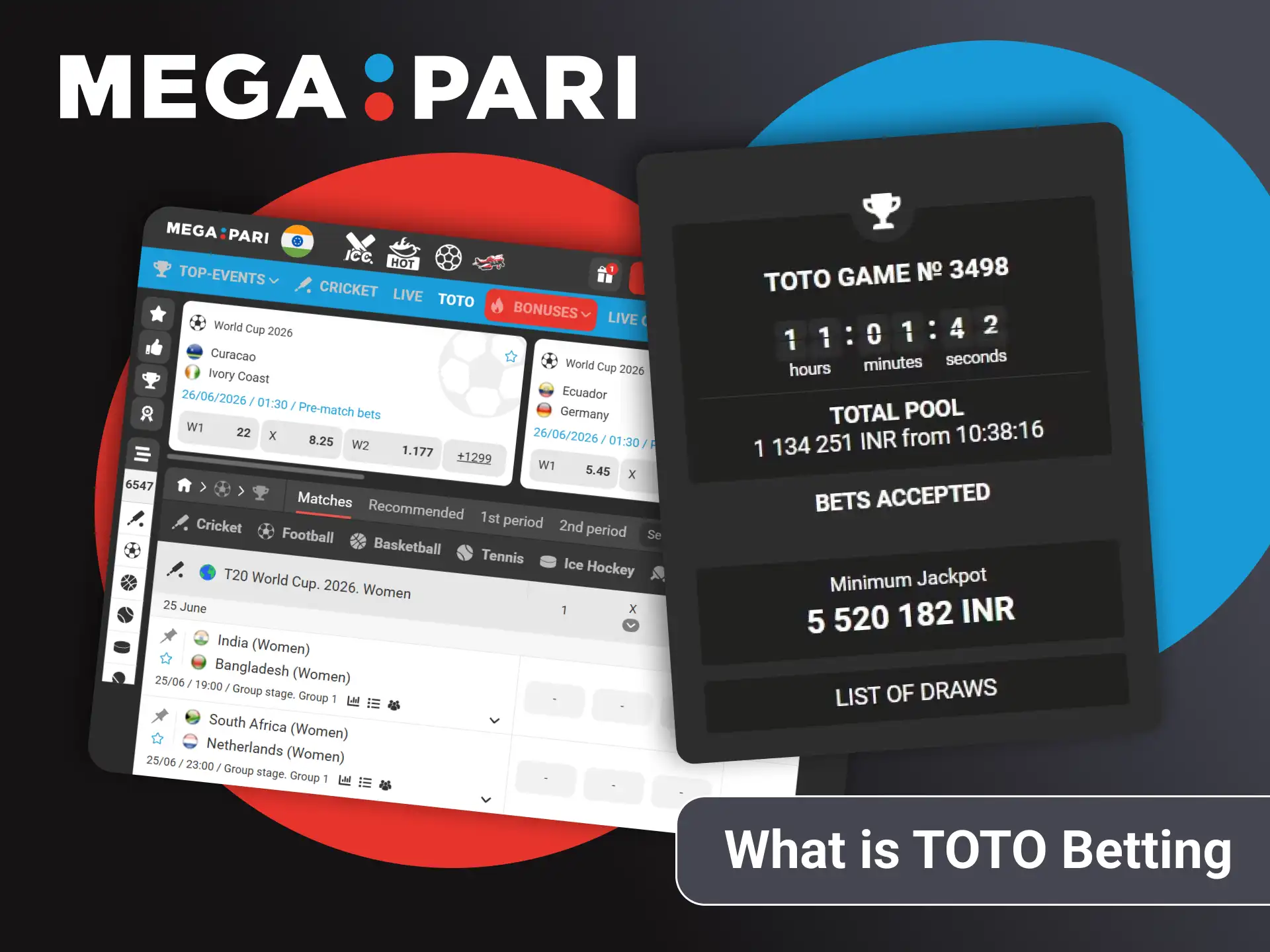 Learn all about betting on TOTO from Megapari.